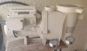 Pentair IntellFlo 011018 Variable Speed (EXCELLENT), PRO-PREPARED -Same Day- - Picture 1 of 10