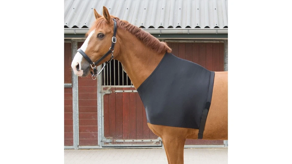 HARRY'S HORSE Brustschutz für Pferde Scheuerschutz Brustunterziehdecke Schulterschutz