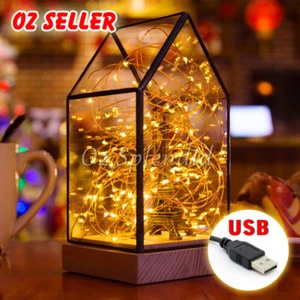 50/100/200 LED USB Powered Waterproof String Fairy Lights Wedding Xmas Outdoor - Picture 1 of 14