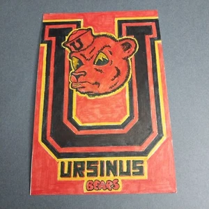 Ursinus College Bears Collegeville PA 4x6 Scrapbook Shadowbox Artwork - Picture 1 of 1