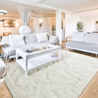  Fluffy Rugs for Living Room Bedroom, Cream 3x5 Area Rug 3X5 Feet Cream White - Image 1 of 4