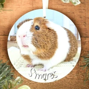 Conejillo de Indias Colgante Decoración Adorno, Personalizado Madera Mascota Navidad Chuchería - Imagen 1 de 12
