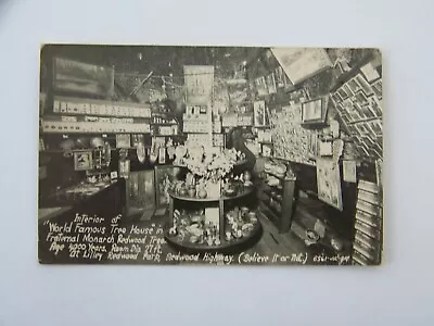 Redwood Highway California CA RPPC Photo Interior Tree House Fraternal Monarch - Image 1 of 2