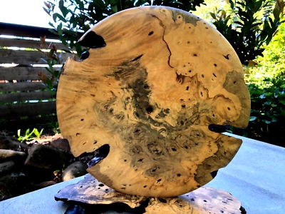 Деревянная скульптура: 12,75-дюймовая настенная скульптура птичьего глаза из клена/спальтового дерева из магазина Брэндона - Изображение 1 из 4