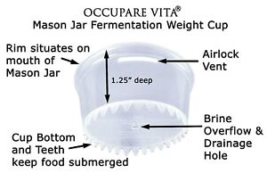6 Mason Jar Plastic (not glass) FERMENTATION WEIGHTS Keep Food Submerged