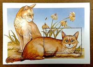VINTAGE CLASSICS - Comoros 1998 - Somali Cats, Pets - Souvenir Sheet - MNH - Picture 1 of 1
