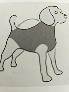 Suitical Recovery Suit Dog, Small, Black Black - Picture 1 of 8