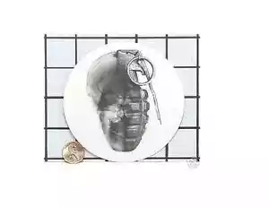SHINEDOWN SOUND OF MADNESS Brand New!! Hand grenade STICKER DECAL - Picture 1 of 1