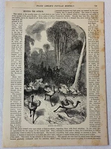 1877 article ~ HUNTING THE OSTRICH - Picture 1 of 1