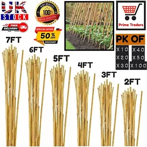 Bastoni di bambù qualità spessa pianta da giardino vegana di supporto resistente bastone forte - Foto 1 di 8