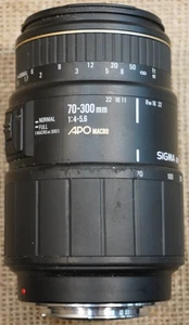 Sigma Auto Focus 70-300mm f/4-5.6 APO Macro - Bild 1 von 6