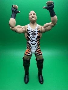 Figura de acción de lucha libre RVD Rob Van Dam WWE Mattel Elite Series 91 ECW - Imagen 1 de 4