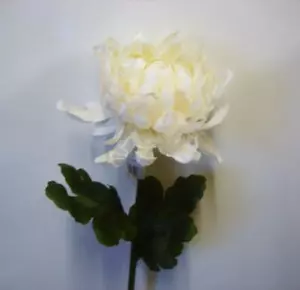 Pack x12 Stems Cream Lace Blooms Artificial Silk Flowers Clearance - Picture 1 of 1