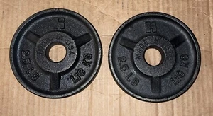2 barras vintage de 2,5 libras Hofmann Industries placas de peso estándar 5 libras en total - Imagen 1 de 2