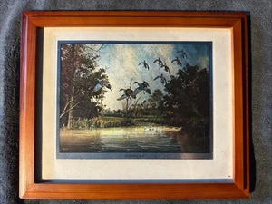 David Maass Reflective Foil Framed Pintails Print 11” X 9” (Leveling Off) - Picture 1 of 4