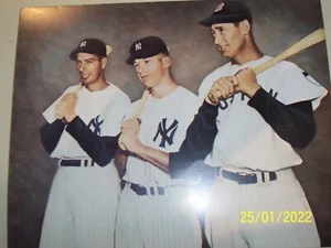 8x10 PHOTO - 3 of BASEBALLS ALL-TIME GREATS - WILLIAMS, MANTLE, DiMAGGIO TOGETH  - Picture 1 of 1