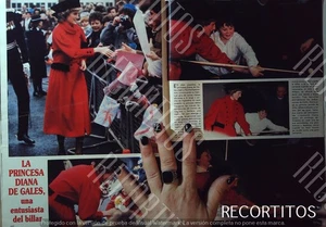 LADY DI DIANA DE GALES EL BILLAR nieve - Imagen 1 de 3