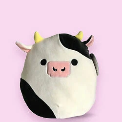 Squishmallow Plushes