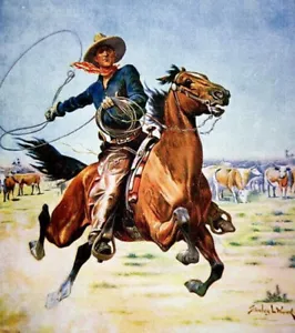 Classic Western Films DVD Set - Imagen 1 de 1