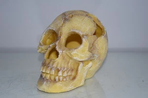 Detaillierter menschlicher Schädel 16 x 11 x 12 cm für den Einsatz in Aquarien & Reptilienbecken - Bild 1 von 5