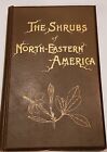 CHARLES NEWHALL - THE SHRUBS OF NORTHEASTERN AMERICA -  RARE 1893