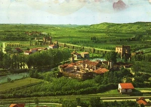 08540 Cartolina Borghetto di Valeggio sul Mincio (VR) Panorama - Imagen 1 de 2