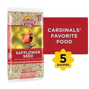 Audubon Park Safflower Seed Wild Bird Food, Dry, 1 Count per Pack, 5 lb. Bag - Picture 1 of 10