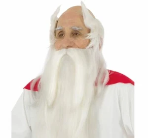 Miraculix Perücke Druide mit Bart weiß 100 cm lang für Herren Kostüm-Zubehör - Bild 1 von 1