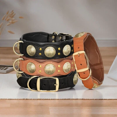 Cool Gold Studded Medium Dog Collars Genuine Leather Heavy Duty Adjustable Pets - Image 1 of 4