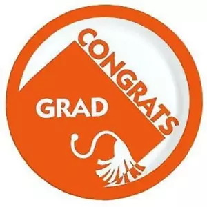 Orange Graduation 9 Inch Paper Plates 18 Per Pack Graduation Grad Tableware - Picture 1 of 1