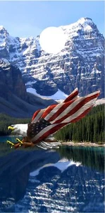 Rocky Mountains eagle Cornhole board game decal wraps - Picture 1 of 1