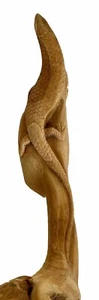 Artisan Hand Carved Burl Root or Knot Wooden Lizard Sculpture, 13" Long - Picture 1 of 9