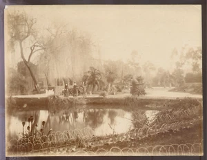 AUSTRALIA, Adélaïde - Le Jardin exotique - Vintage Albumine Print c.1885 - 15x20 - Picture 1 of 2