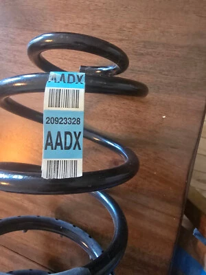 Muelle helicoidal GM 20923328 genuino  Foto 1 de 3