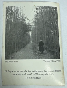 Thich Nhat Hanh Vintage Post Card - Super Rare Namaste Awakening Enlightenment - Picture 1 of 4