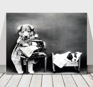 CUTE VINTAGE Black & White Dogs Dressed Up - CANVAS ART PRINT POSTER - 24x16" - Picture 1 of 1