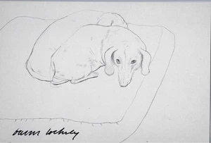 David Hockney signed Postcard Stanley and Boodge 1993 - Picture 1 of 1