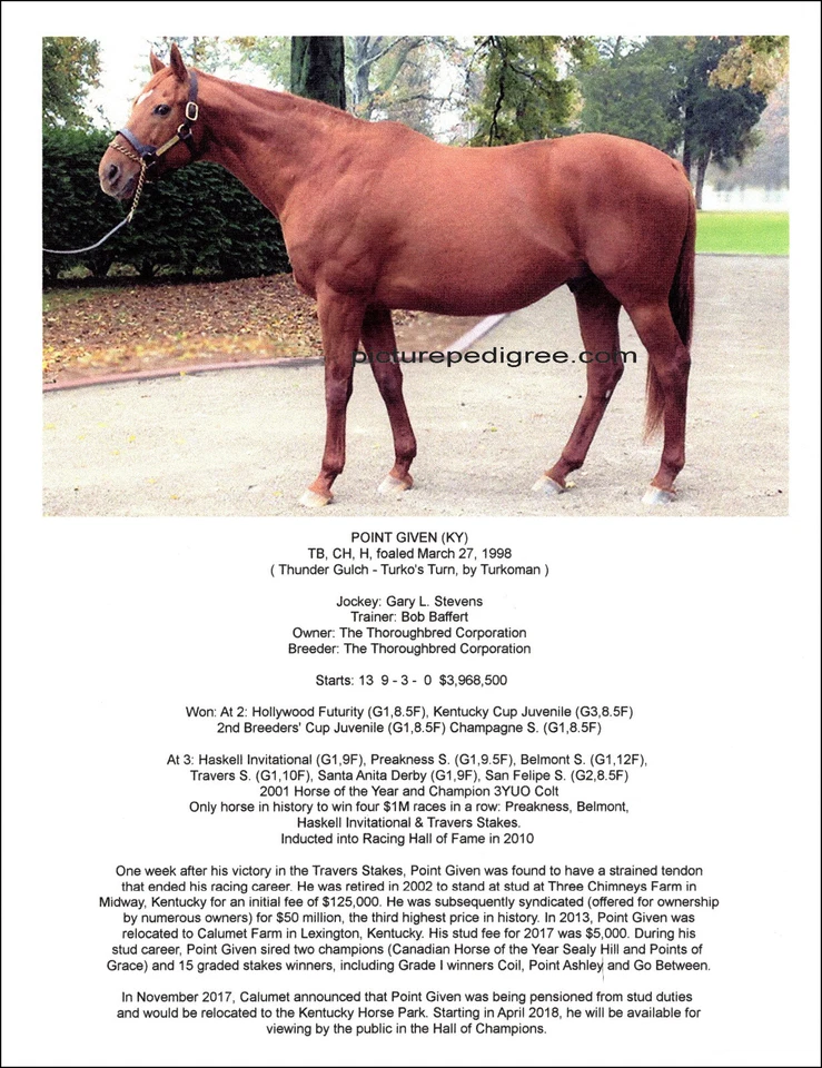 Foto de Bob Baffert de caballo de carreras PUNTO DADO con biografía Gary Stevens 11x8 Foto 1 de 1