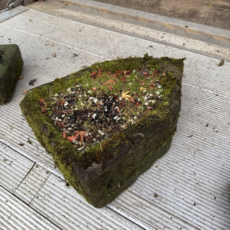 18th C Large Carved Stone Round Trough Planter Carved Stone 480mm length  - Image 1 of 3