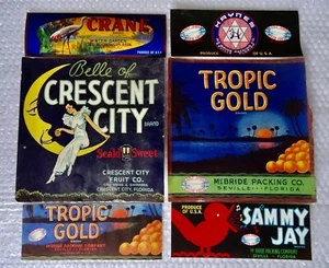 pRODUCE CRATE LABEL FRUIT PRODUCE LARGE SMALL MIXED JUNK DRAWER LOT VTG neocurio - Picture 1 of 6