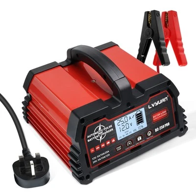 LVYUAN 25A 12V/24V Smart Car Battery Charger Pulse Repair Lead-Acid & 12V Lifepo4