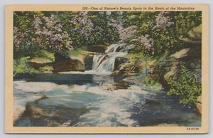 Postal de One of Nature's Beauty Spots Waterfall Stream Flowers Scene 1947 GA - Imagen 1 de 2