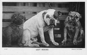 POSTCARD COMIC - BULLDOG THEME - LEFT BEHIND - Picture 1 of 2