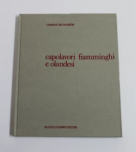 Libro I DISEGNI DEI MAESTRI Capolavori fiamminghi e olandesi 1970 Italiano - Imagen 1 de 1