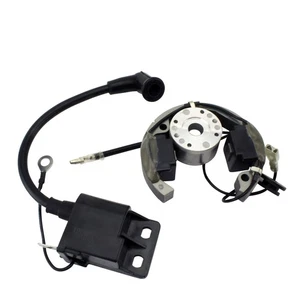 Stator + Rotor + Ignition Coil for MC 50 2021 2022 2023 | 45139004000 - Picture 1 of 9