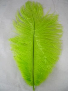 Lime Ostrich Feather 16-20 inch Long per Each - Picture 1 of 3