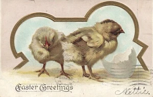 Early 1907 Hatched Easter Chicks Samson Brothers Postcard   - Picture 1 of 2