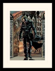 Batman - The Joker Released - Official 30 x 40cm Framed Mounted Print