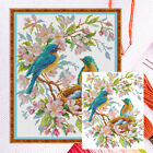 Partial Embroidery Eco-Cotton Thread 14Ct Counted Bird Cross Stitch Kit (Da710)