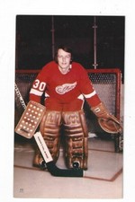 TOUGH 1974/75 DOUG GRANT, DETROIT RED WINGS JD MCCARTHY POSTCARD !!!!!